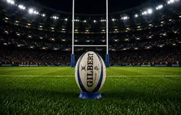 Ballon de rugby devant les poteaux dans un stade